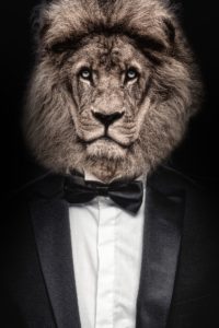 Leadership